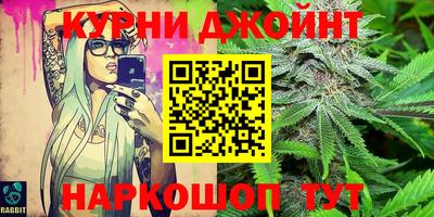 сатива Бийск