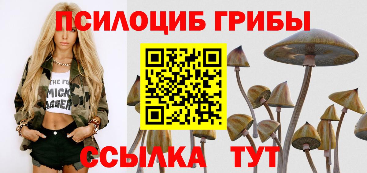 Когалым  Галлюциногенные грибы мухоморы  Вход с VPN 